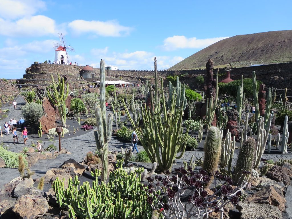 overzicht-jardin-de-cactus